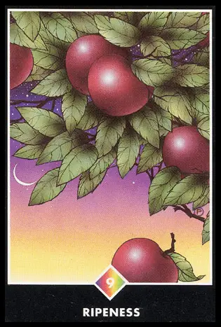 彩虹之九:成熟/奧修禪卡 Osho Zen Tarot