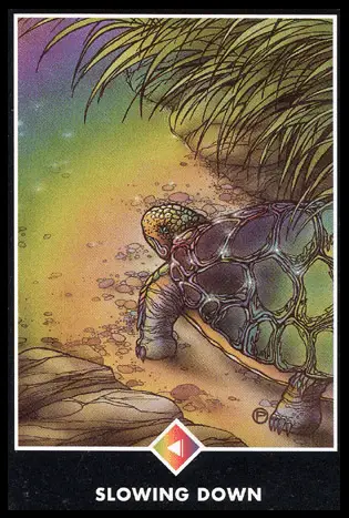 彩虹騎士：慢下來／奧修禪卡 Osho Zen Tarot