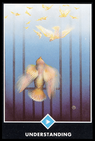 水之小兵:了解/奧修禪卡 Osho Zen Tarot